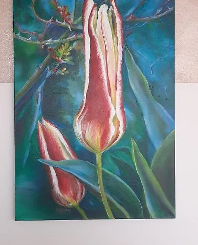 Panoramic View Apartment